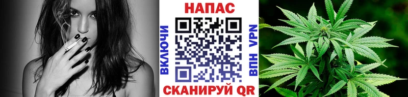 Купить где  Валуйки  Марихуана гибрид 